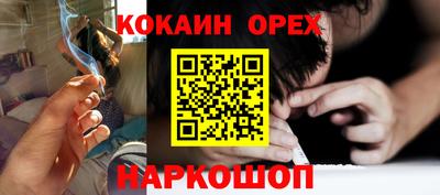 a pvp Камышлов