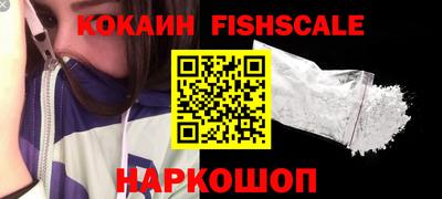 a pvp Камышлов