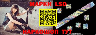 a pvp Камышлов