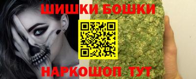 a pvp Камышлов